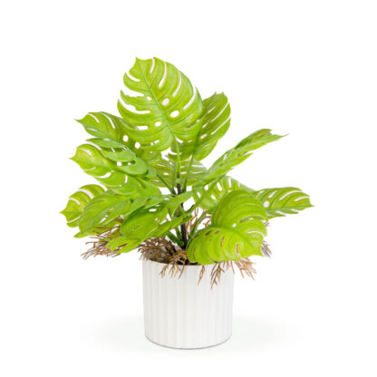 Műnövény dekoráció - monstera - 22 x 8,5 cm - Image 2