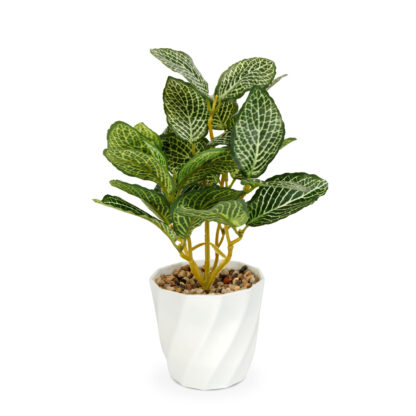 Műnövény dekoráció - fittonia - 20 x 9 cm - Image 2