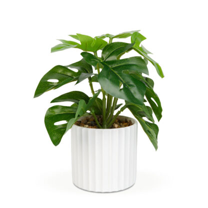 Műnövény dekoráció - filodendron - zöld - 20 x 8 cm - Image 2