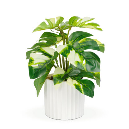 Műnövény dekoráció - filodendron - zöld/sárga - 20 x 8 cm - Image 2