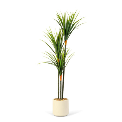 Műnövény dekoráció - Dracaena Marginata - zöld - 1,2 m - Image 2