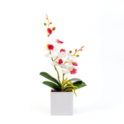 Műnövény dekoráció - orchidea - 3 féle - 37 cm - Image 4